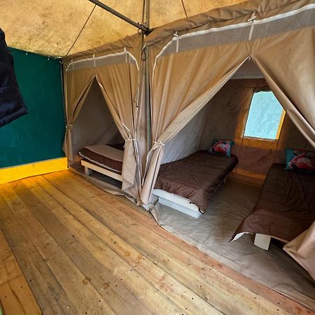 Camping Animal King Esnandes Exteriör bild