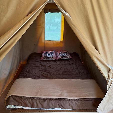 Camping Animal King Esnandes Exteriör bild