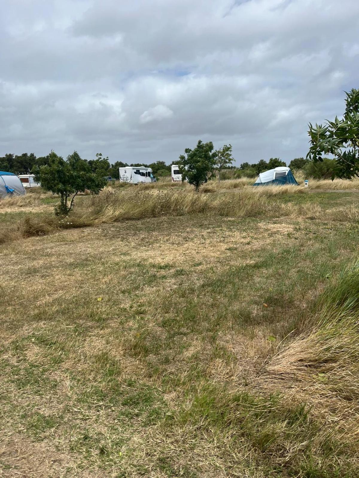 Camping Animal King Esnandes Exteriör bild