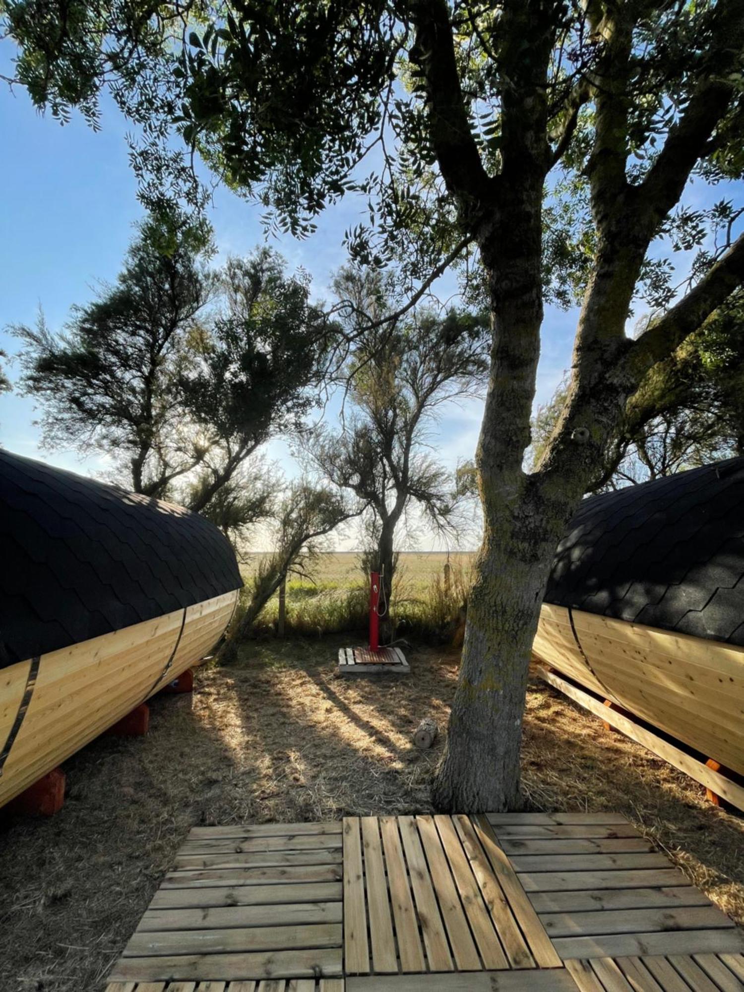 Camping Animal King Esnandes Exteriör bild